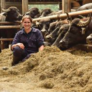 Demi Verbruggen - dierenarts landbouw/paard