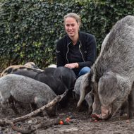 Monique van der Zanden - dierenarts varken